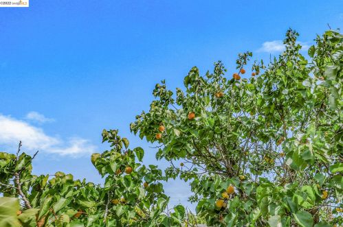 21561 Knoll Way, Hayward CA  94546-6860 exterior