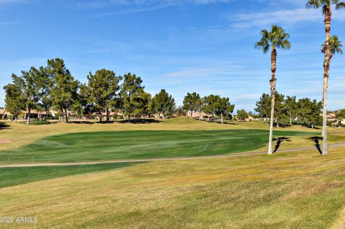 19404 85th Dr, Peoria, AZ 85382-8820