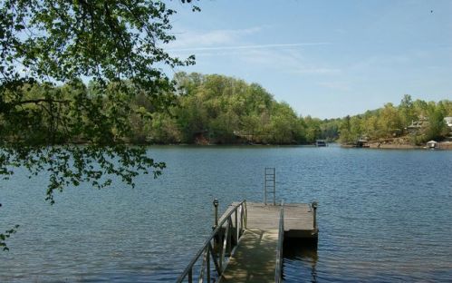 127 Ivy Ln, Hayesville, NC 28904-5451