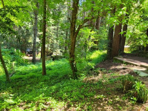 795 Hillcrest Dr, Felton, CA 95018-9119
