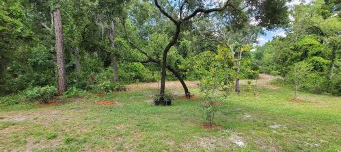 8541 Shallow Creek Ct, New Port Richey, FL 34653-7026