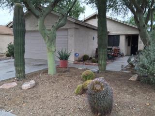 8610 College Dr, Phoenix, AZ 85037-1220