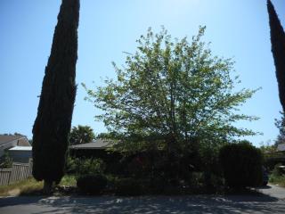 2332 Edinburgh Dr, Elverta, CA 95626-9763