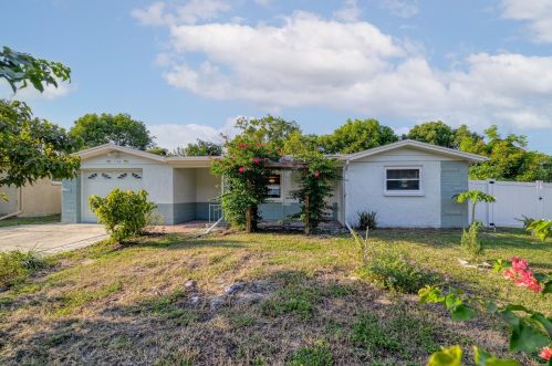 5339 Skyland Dr, Tarpon Springs, FL 34690-2045
