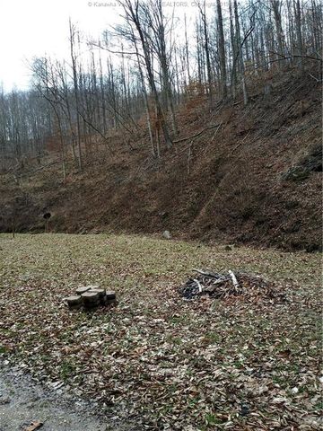 142 Maul Frk, Griffithsville, WV 25521-9724