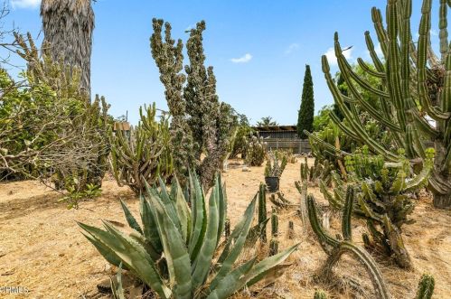 974 Orange Dr, Oxnard CA  93036-1834 exterior