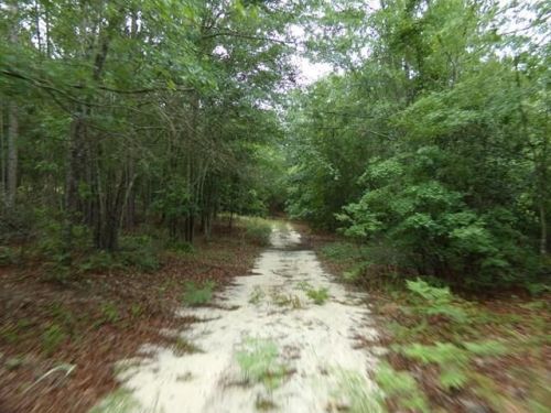905 Old Shoals Rd, Watsonia, SC 29105