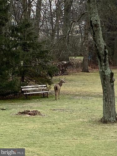 678 Cathcart Rd, Blue Bell PA  19422-1404 exterior