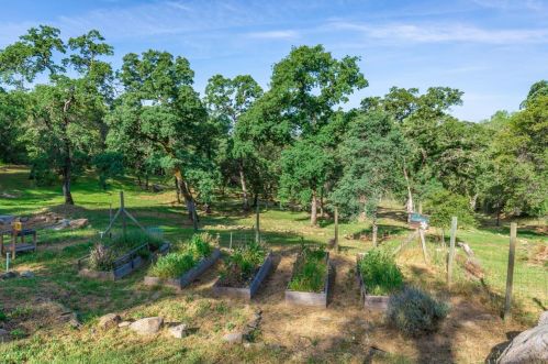 1290 Kellogg St, Newcastle CA  95658-9701 exterior