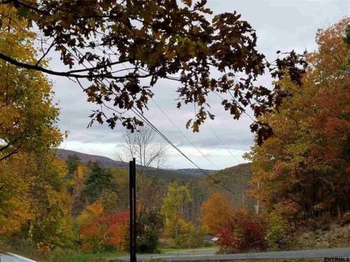 385 Rabbit College Rd, Taconic Lake, NY 12138-2604