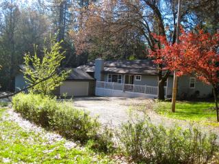15900 Belden Mine Rd, Pioneer, CA 95666-8826