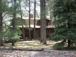 3195 Bison Cir, Pinetop, AZ 85935-8109