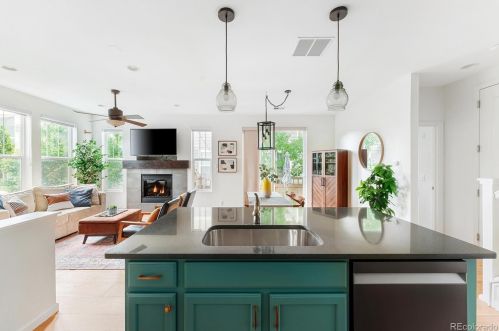 2908 Iola St, Denver CO 80238-3191 exterior