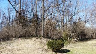 19 Tanglewood Dr, Lexington, KY 40505-2000