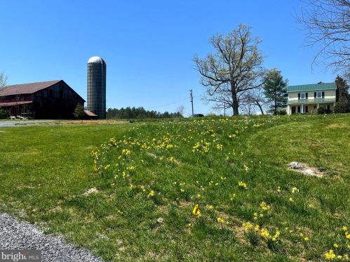 1344 Old Winchester Rd, Boyce, VA 22620-1912