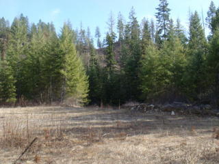 2594 Flowery Trail Rd, Chewelah WA  99109-9505 exterior
