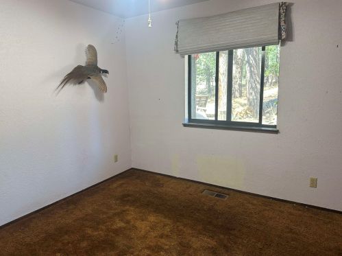 296 Chandler Rd, Spanish Ranch CA  95971-9668 exterior