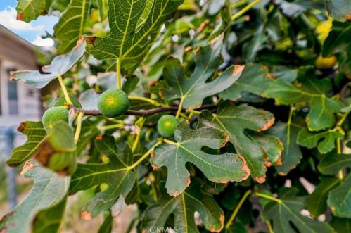 14833 Saticoy St, Van Nuys CA 91406-2129 exterior