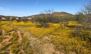 43201 14th St, Phoenix AZ 85087-7979 exterior