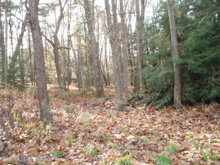 211 5th Ave, Clarion, PA 16214-2903