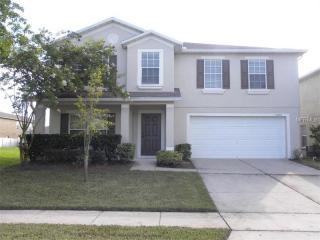 13834 Chihuly Ct, Orlando, FL 32824-6100