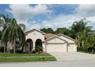 16134 Muirfield Dr, Odessa, FL 33556-2862