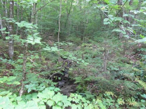 412 Strafford Rd, Tunbridge, VT 05077