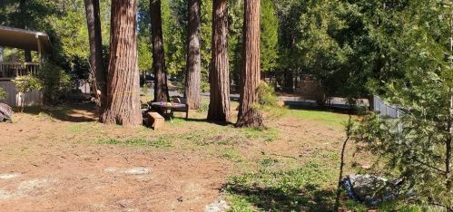 14817 Deloro, Nimshew CA  95954-8712 exterior