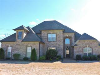 355 Summit Dr, Medina, TN 38355-6901