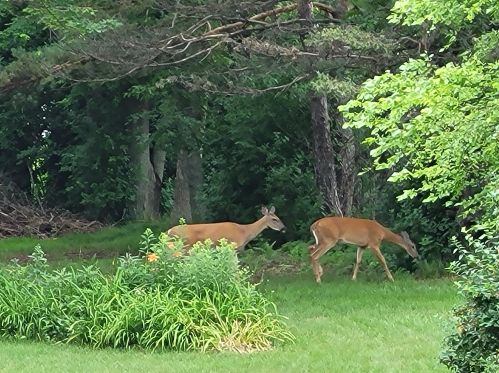 2234 Glenbrook Ln, Thiensville WI  53092-3116 exterior