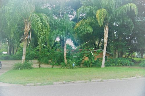 131 Palmetto Ave, Howey In The Hills, FL 34737-3323