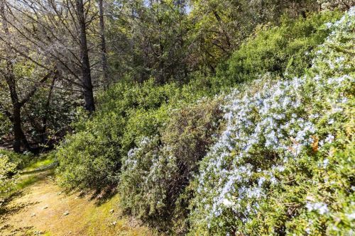 235 San Jacinta Dr, Ukiah CA  95482-5648 exterior