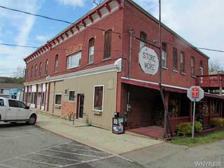 9111 Otto East Otto Rd, Otto, NY 14766