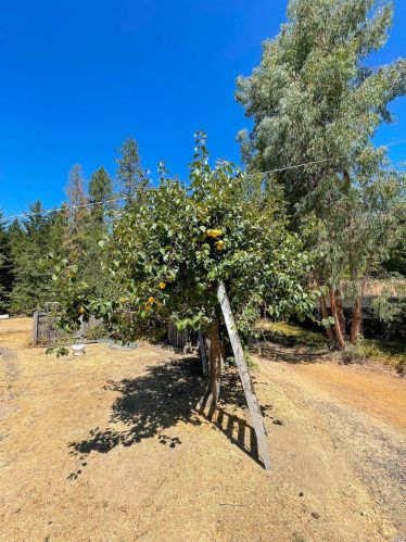 22619 Eastside Rd, Willits CA  95490-9780 exterior