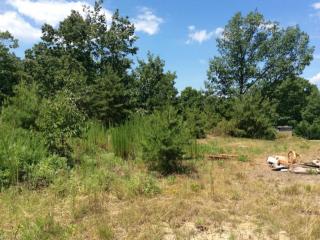 325 Hanging Rock Forest Rd, Hartman, NC 27016-7626