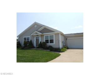 4548 Rocky Mountain Dr, Medina, OH 44256-6703