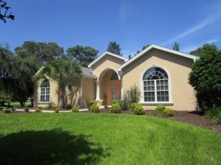 33 Seagrape St, Homosassa, FL 34446-4335