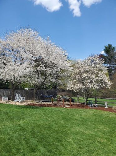 8 Canter Ct, Nashua NH  03063-2929 exterior