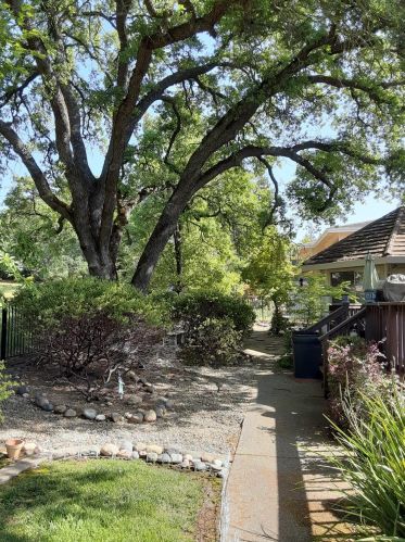 6330 Rio Oso Dr, Rancho Murieta, CA 95683-9251