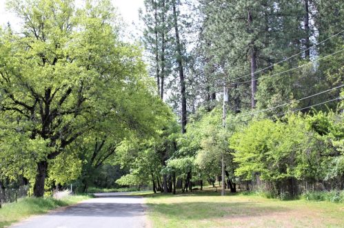 1151 Peaceful Valley Rd, Cape Horn, CA 95713-9604