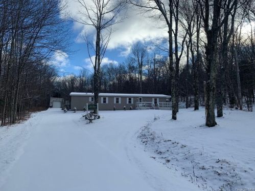 763 Dahlia Rd, Lew Beach, NY 12758-6954