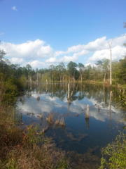 4929 Gilmore Rd, Holt, FL 32564-9441