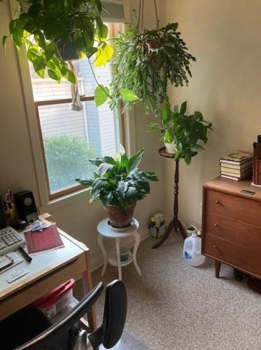 37 Damon Rd, Cincinnati OH 45218-1040 exterior