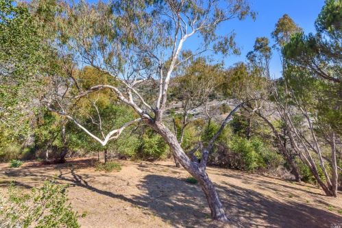 9 Thoreau Cir, Mill Valley CA  94941-4651 exterior