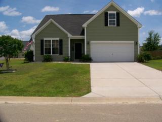 1029 Bridlewood Farms Pkwy, Ridgeville SC  29472-5947 exterior