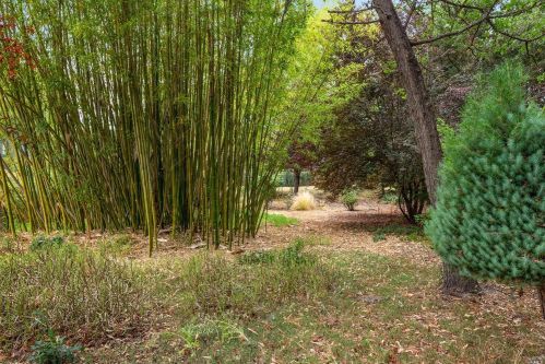 1095 Pine Tree Ln, Sebastopol CA  95472-2681 exterior