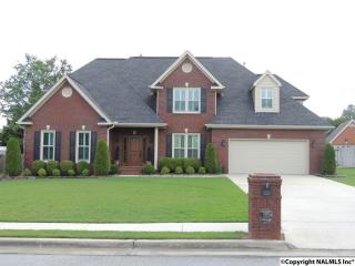 3114 Constitution Dr, Decatur AL  35603-3163 exterior