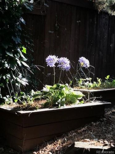 124 Jackson St, Denver CO 80210-6616 exterior