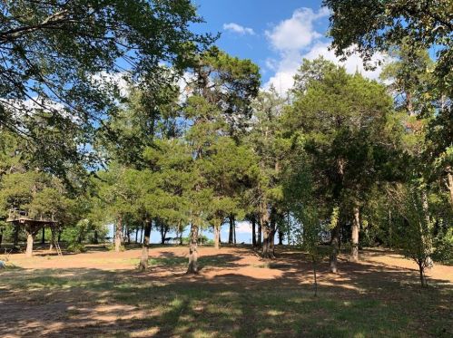 909 Vz County Road 4210, Athens, TX 75752-0069