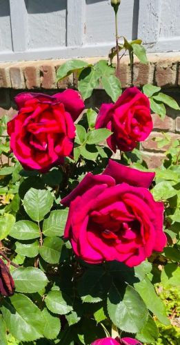 2621 Gilbert Way, Rancho Cordova CA  95670-3513 exterior